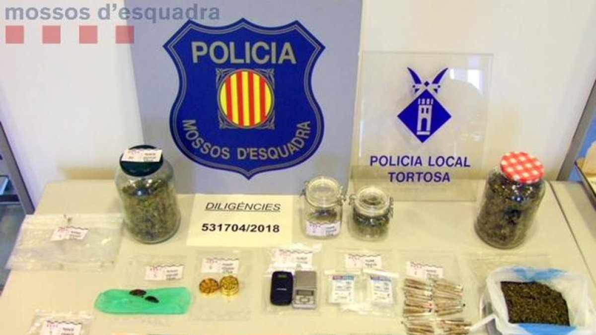 Imagen de la droga y el material intervenido en el local de Tortosa.