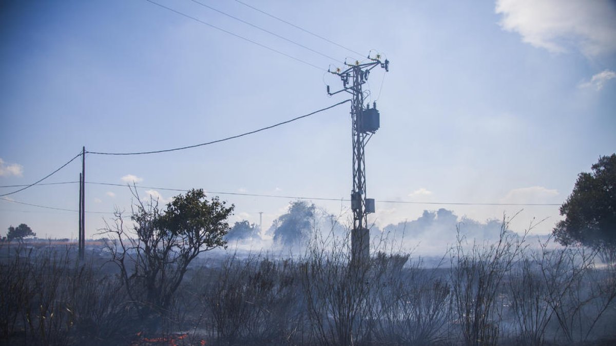 L'incendi originat als terrenys de l'avinguda de Bellissens ha revifat a la tarda.