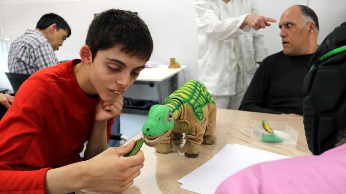 Un jove amb trastorn mental interactuant amb un peluix de dinosaure, un dels robots que ha adquirit el centre Villablanca, del grup Pere Mata de Reus, per estimular els seus usuaris. Imatge del 22 de maig del 2018