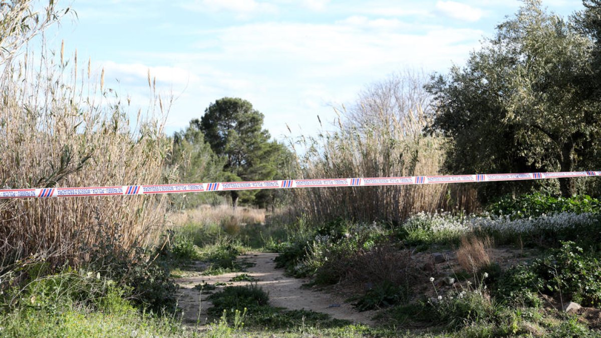 El cos sense vida de l'home va ser trobat al camí dels Molins de Riudecanyes.