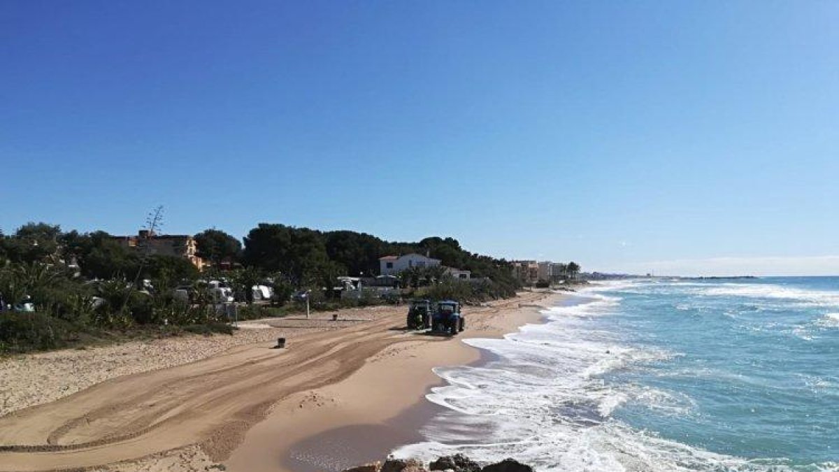 La Concejalía de Playas ha procedido a la retirada de las velellas de las playas.