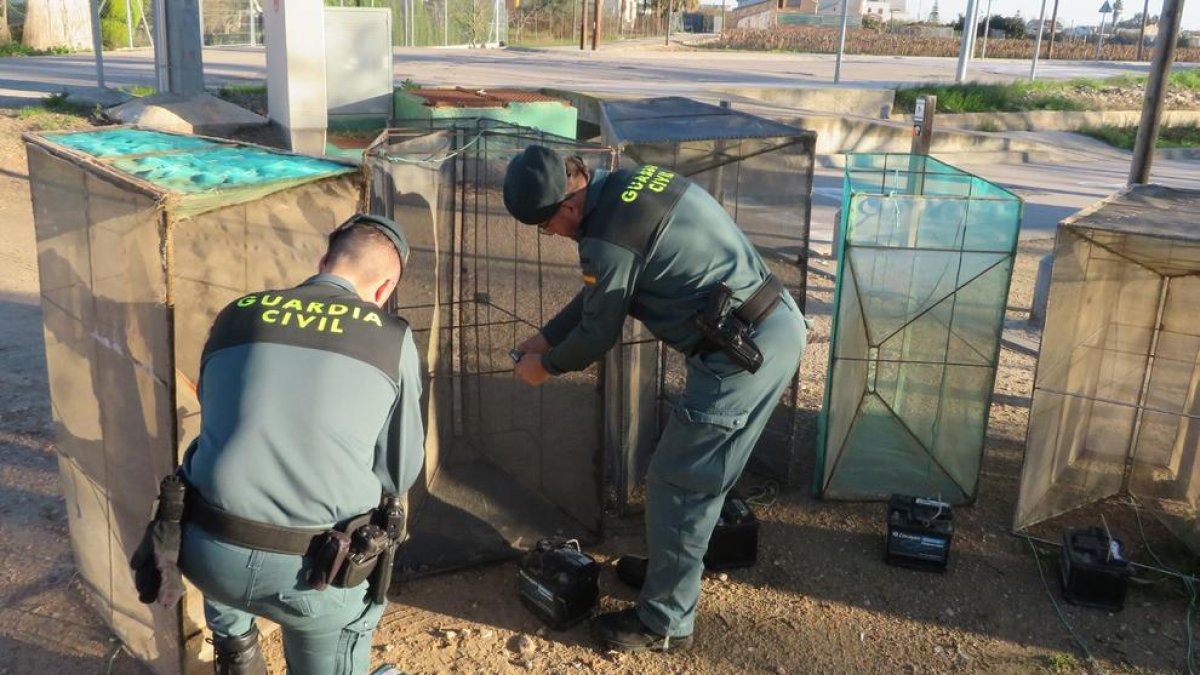 Els agents del Deprona van realitzar un total de 17 inspeccions a la desembocadura del riu Ebre.