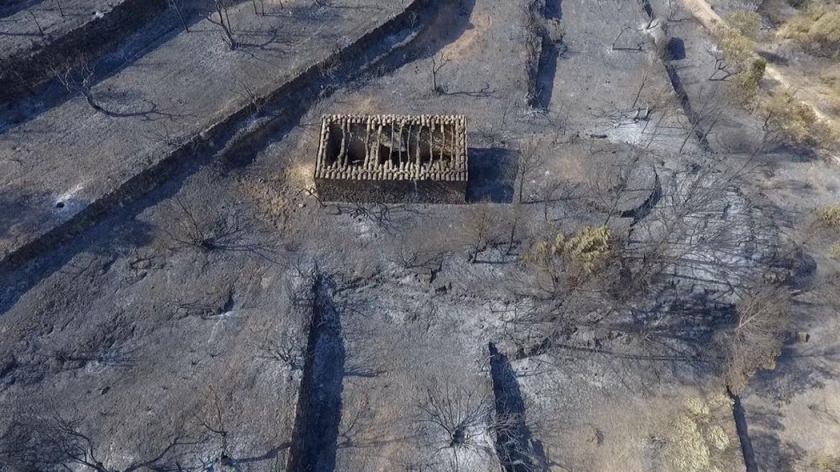 Pla aeri captat amb dron de la zona cremada per l'incendi de Ribera d'Ebre a Bovera on es pot veure un mas sense la teulada per l'efecte de les flames,.
