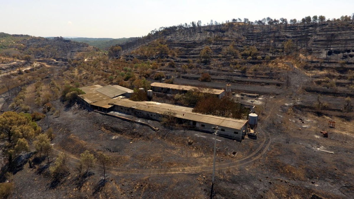 Imatge aèria captada amb dron de l'incendi de la Ribera d'Ebre a la zona situada entre la Palma d'Ebre i Flix on es pot veure una granja afectada pel foc.