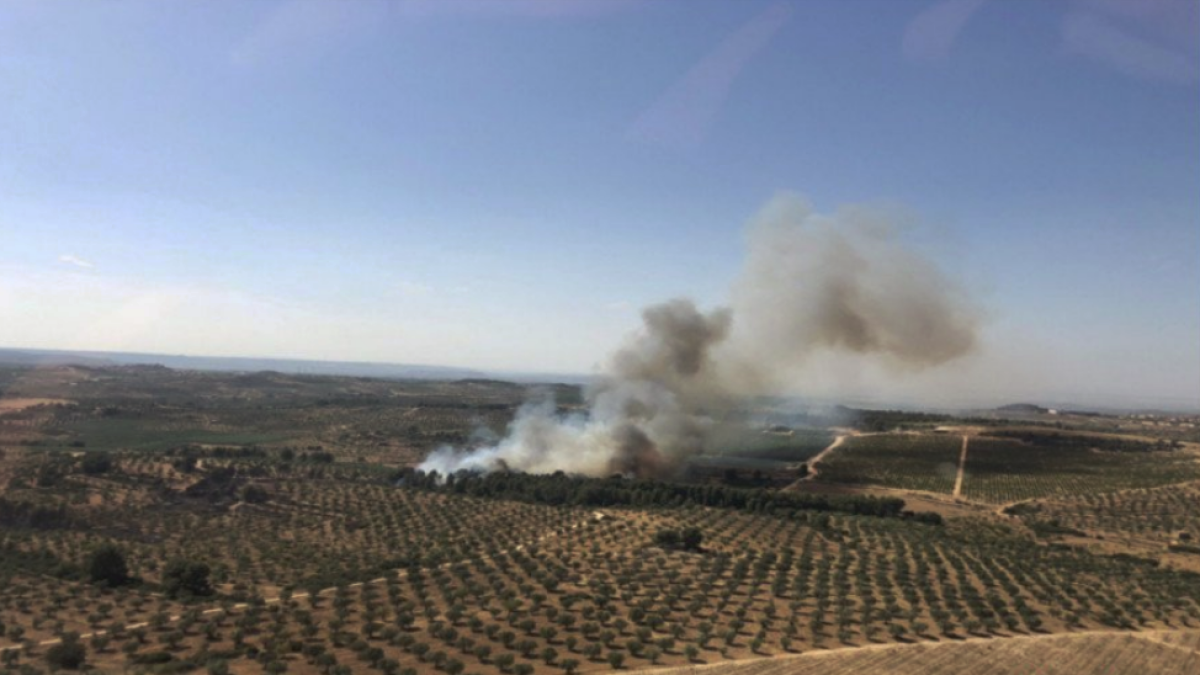 Imagen del incendio de la Ribera d'Ebre.