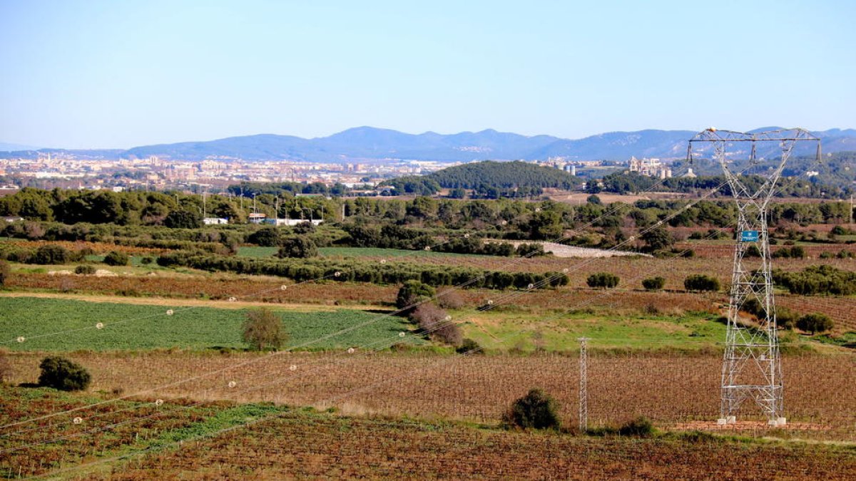 Terrenos de Banyeres del Penedès donde CIMALSA prevé la construcción del Logis Penedès.