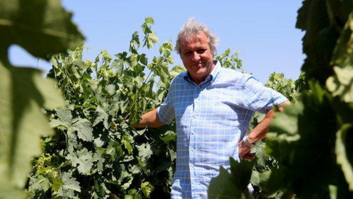 El presidente de la DO Penedès, Joan Huguet, captado entre viñas.