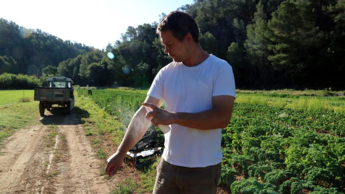 Josep Pedret ruixant-se amb repel·lent davant d'un dels seus horts al terme municipal de Benifallet on pateixen la plaga de la mosca negra.