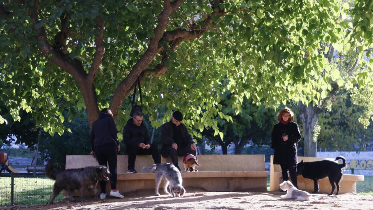 Varios perros, con sus propietarios, en un pipi-can del Parc de la Ciutat de Tarragona.