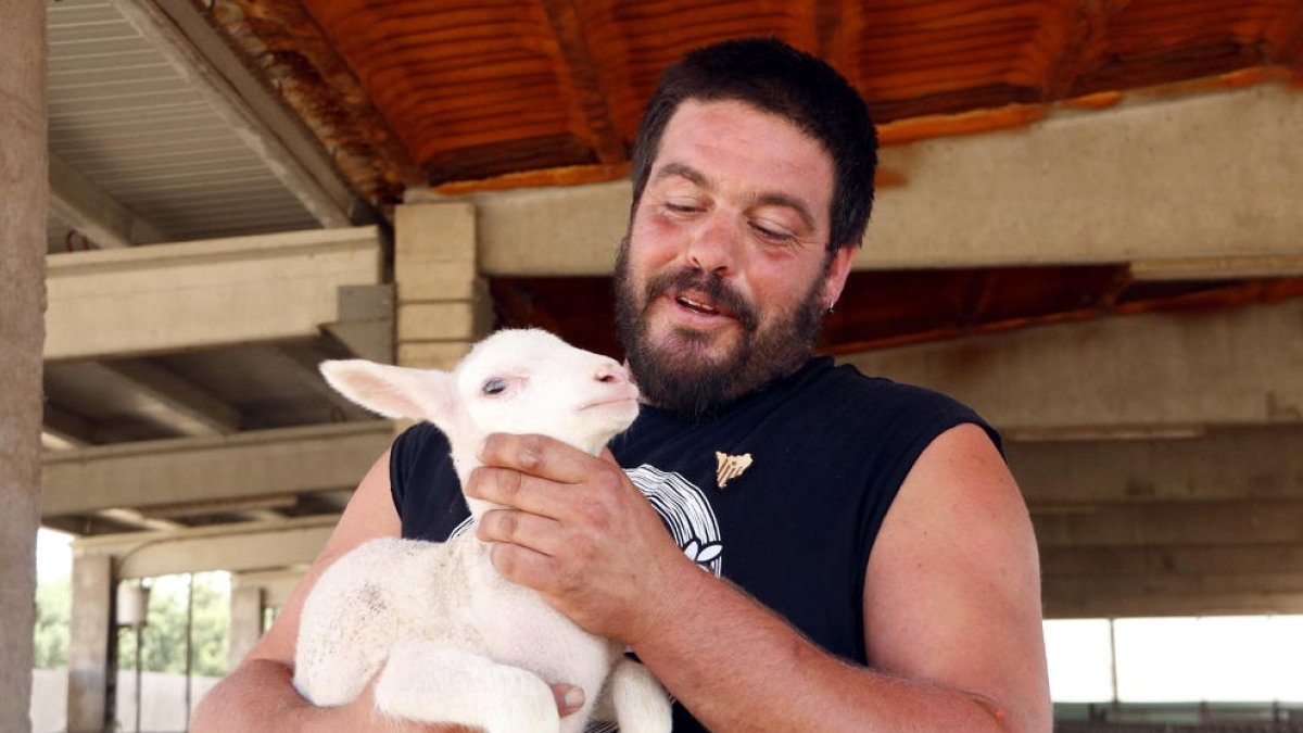 El ganadero Abel Peraire, de Prats de Lluçanès, con uno de los corderos de su explotación que ha nacido hace poco.