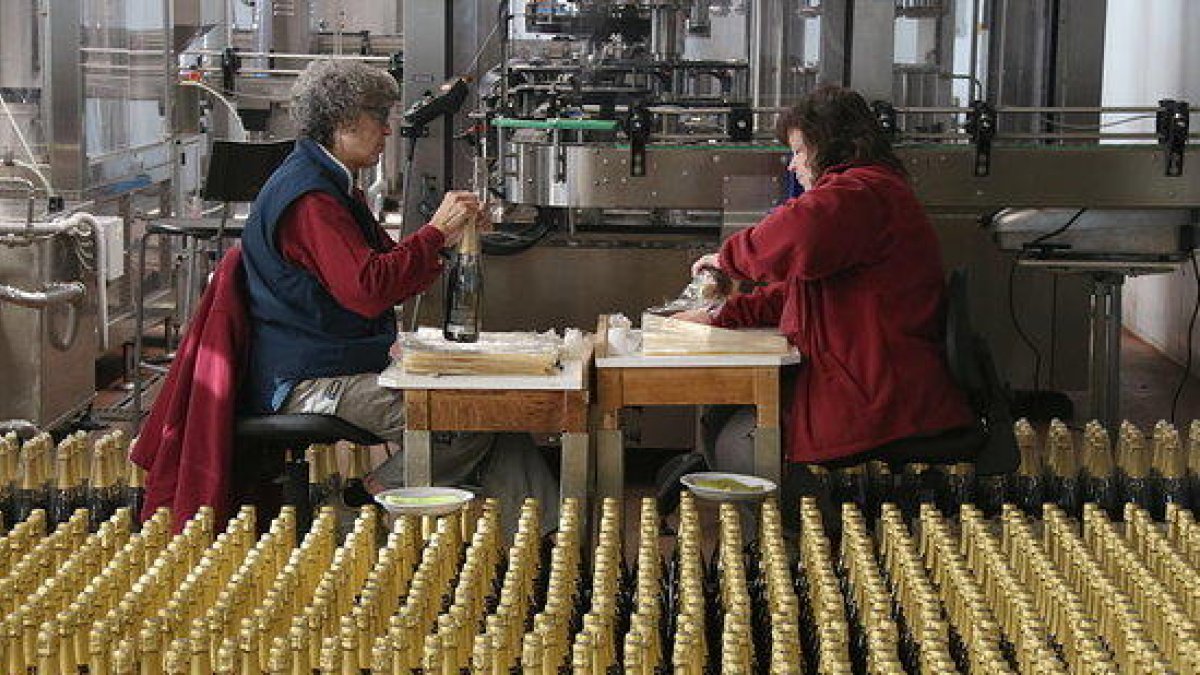 Dos trabajadoras envolviendo botellas de cava por la campaña de Navidad.