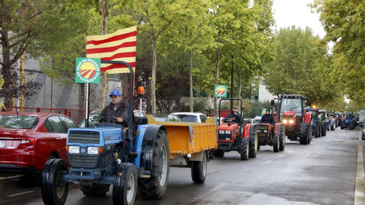 La filera de tractors que s'han manifestat pels preus baixos de l'avellana, al seu pas pel polígon Agroreus.
