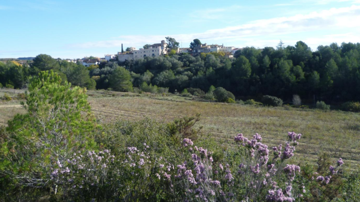 Una ruta circular que atraviesa el torrente de Renau