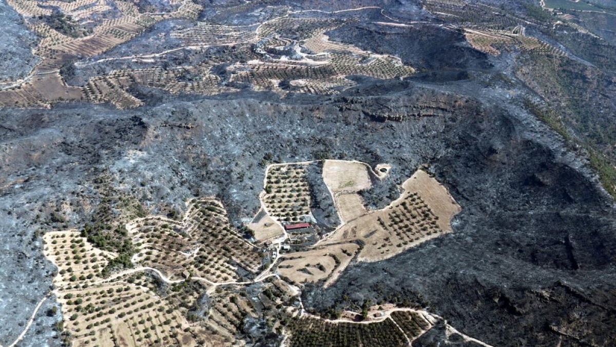 Vista aèria d'una zona agrícola i d'una construcció envoltades de zones cremades a l'incendi de la Ribera d'Ebre.