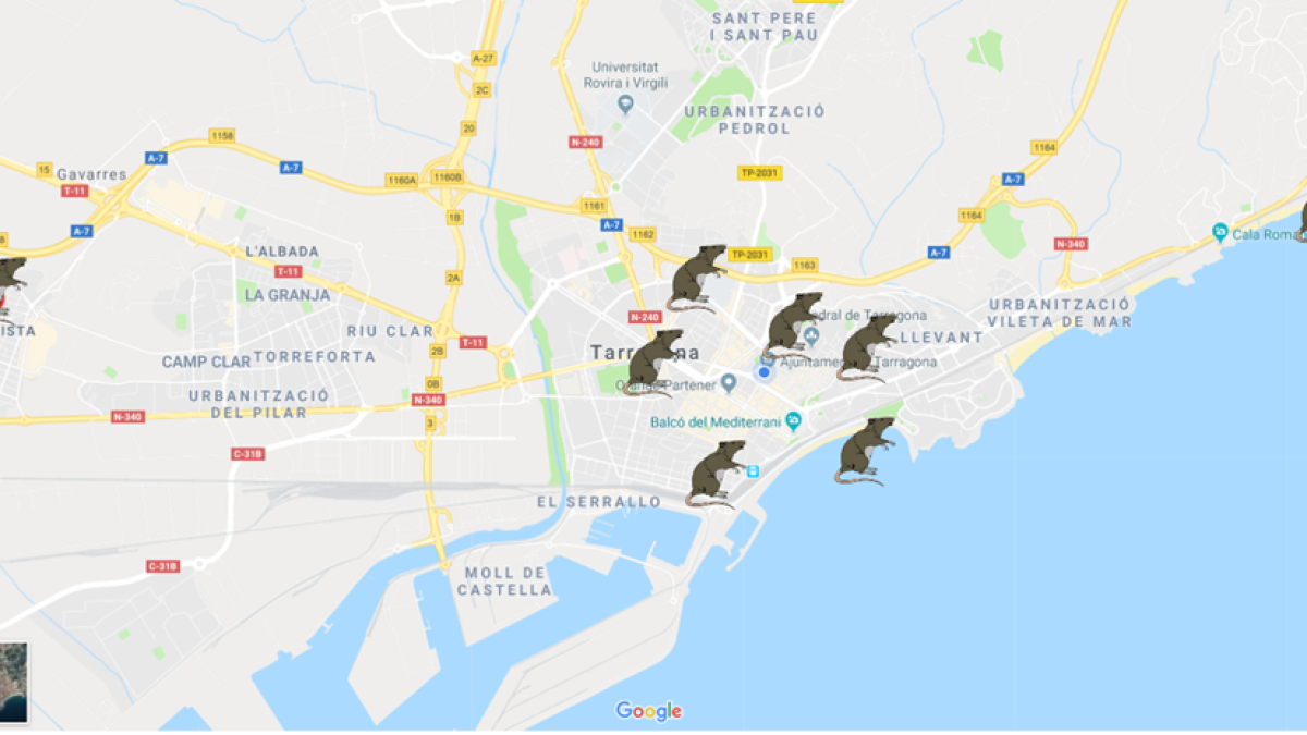 Imatge del mapa en què s'indica en quines zones de Tarragona s'han vist rates.