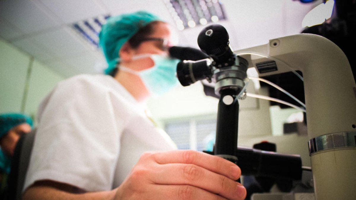 Imagen de archivo de una mujer trabajando en un laboratorio