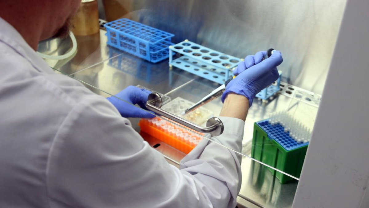 Pla mediano de un investigador, de espaldas, llenando pipetas en un laboratorio del VHIO