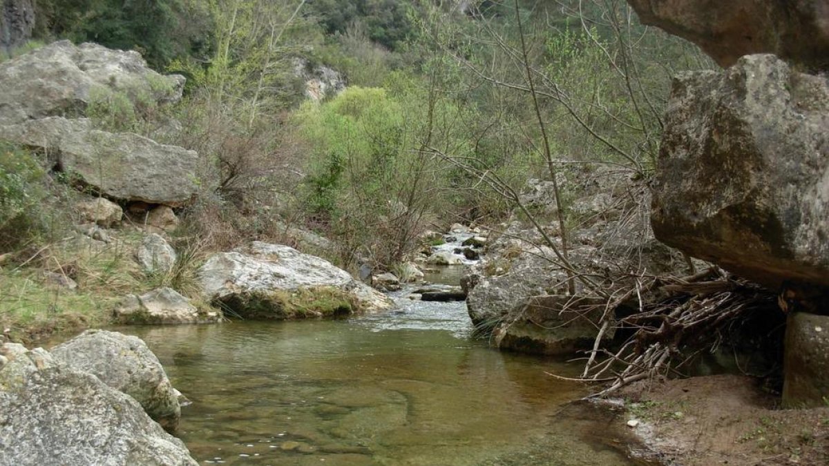 Foto de la vall del riu Brugent, entre La Riba i Farena.