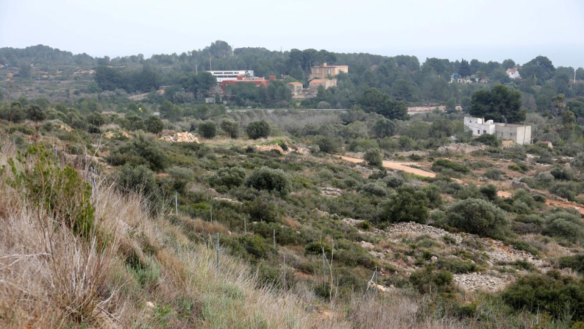 Els terrenys de la Budellera, en una imatge d'arxiu.