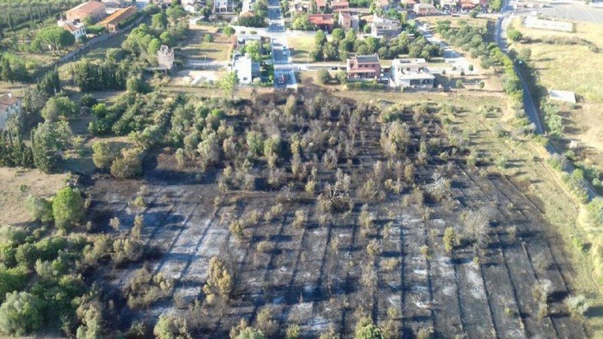 Imatge aèria de la zona on s'ha declarat el foc.