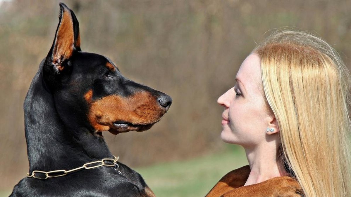 Una mujer con su perro de la raza Doberman.