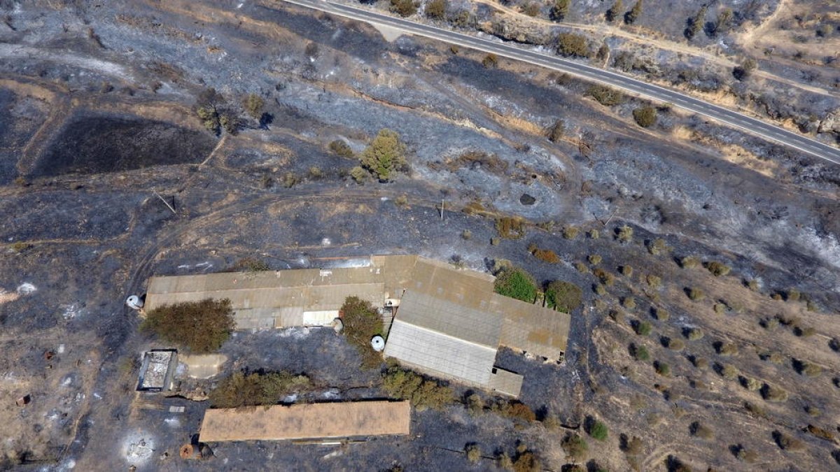 Imatge aèria captada amb dron de l'incendi de la Ribera d'Ebre on es pot veure una granja de bestiar afectada pel foc