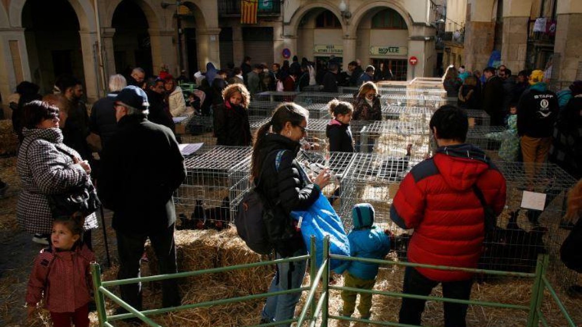 Imatge d'una edició passada del Mercat de Nadal de Valls