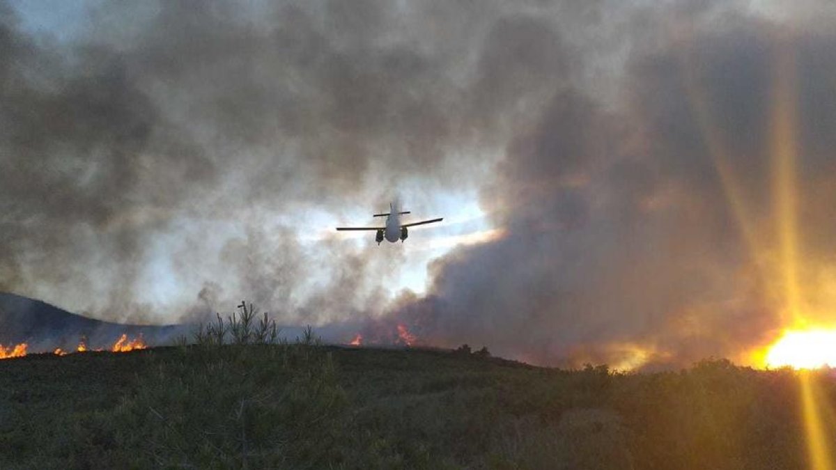 Imagen del incendio en Montferri.