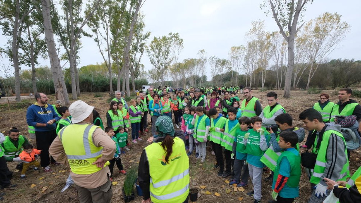 Alguns dels voluntaris que han participat a la plantada