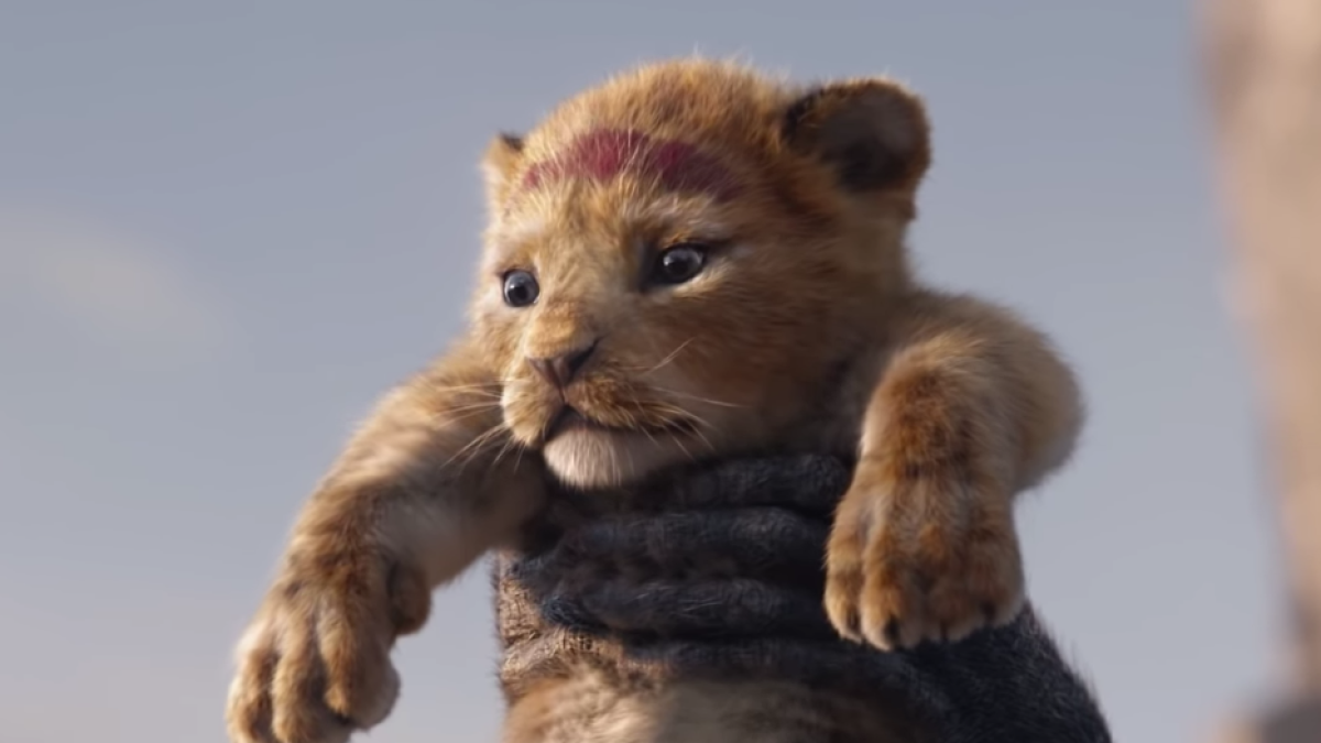 Imagen de Simba en el inicio de la película.