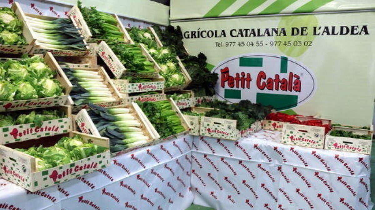 Pla general amb un estand promocional de les hortalisses que comercialitza la Cooperativa de l'Aldea.