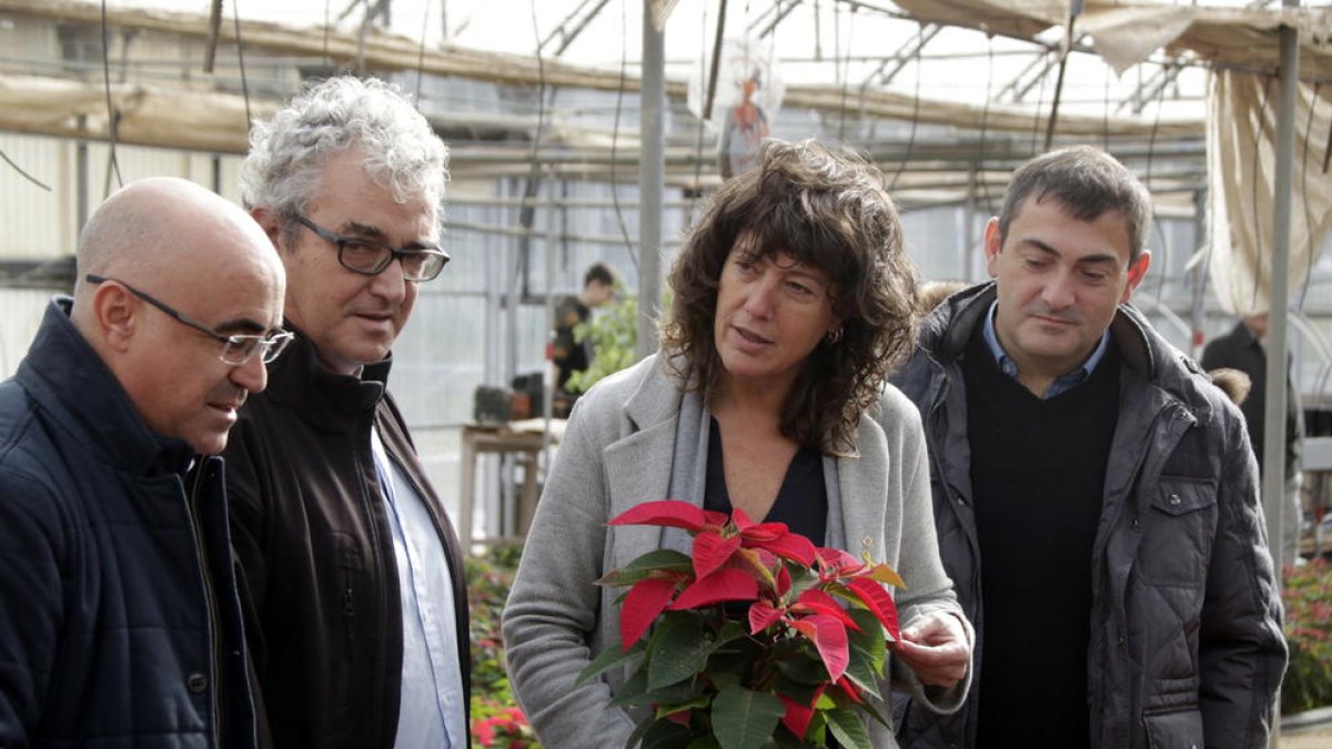 La consellera d'Agricultura, Teresa Jordà, amb una ponsètia a les mans, durant una visita a l'Institut d'Horticultura i Jardineria de Reus.