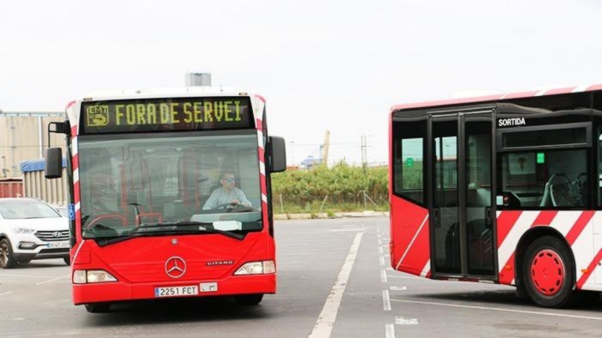 Autobusos de l'Empresa Municipal de Transports (EMT), en una imatge d'arxiu.