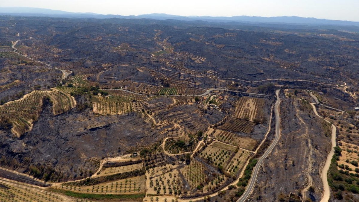 Imagen aérea de los daños causados por el incendio de la Ribera d'Ebre