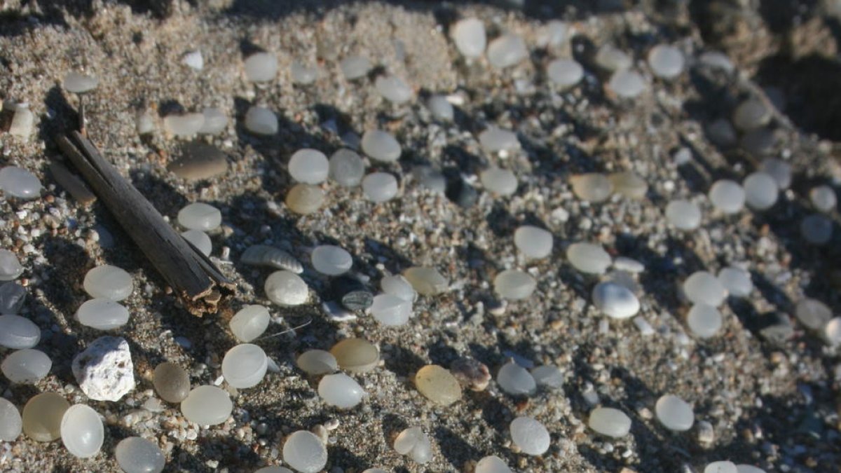 Imatge de les boles de polietilè a la sorra de la platja de la Pineda.