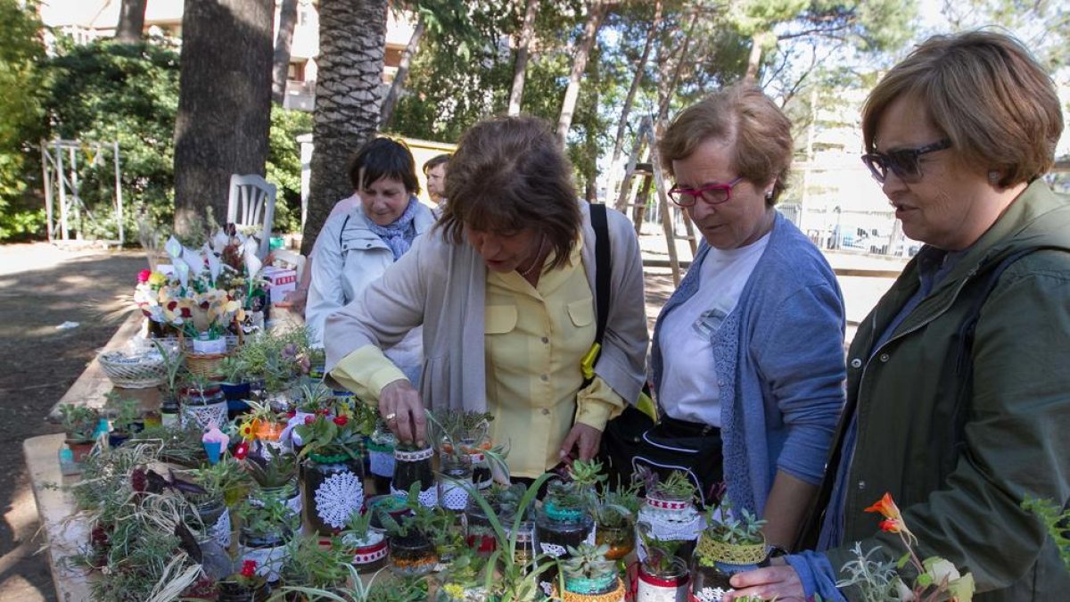 Algunas de las plantas que se ofrecieron en la edición anterior.