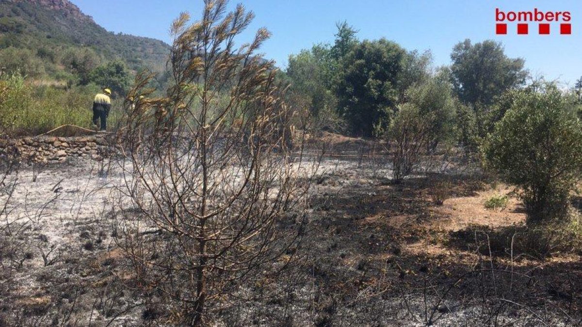 Imatge de la zona afectada pel foc a Alforja.