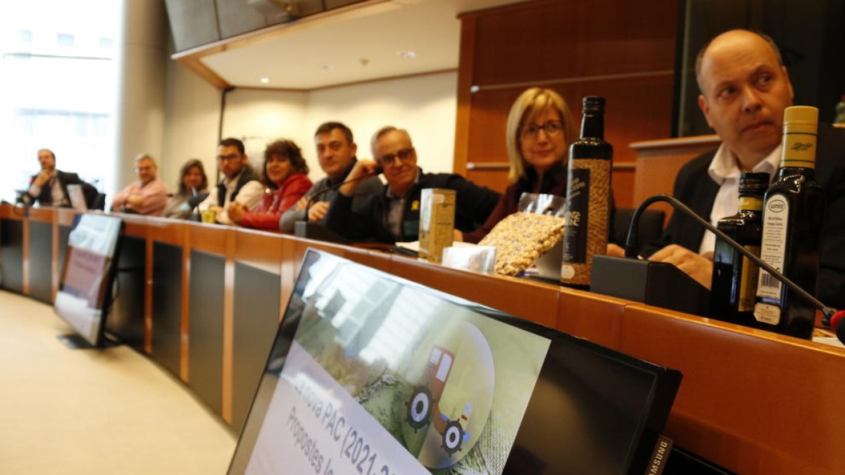 La reunió d'alcaldes, regidors i alcaldables del Baix Camp i Ebre amb el representant de la Direcció General d'Agricultura, Ricard Ramon Sumoy, al Parlament Europeu, amb mostres d'olis i avellanes.