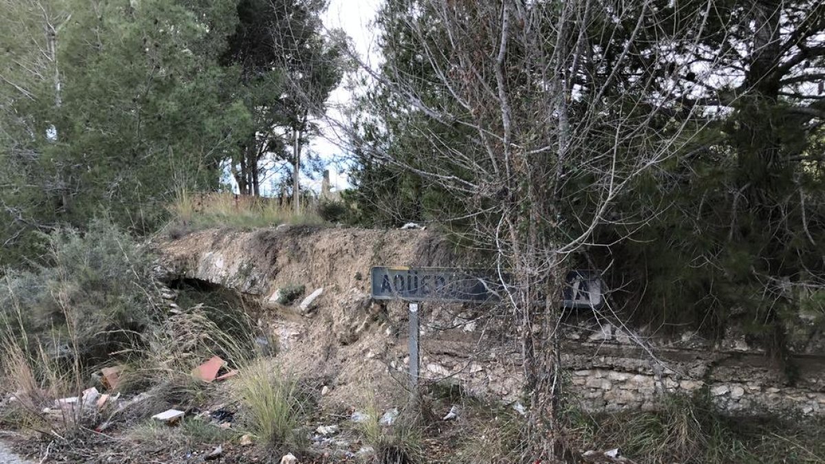 Sector de l'Aqüeducte del Gaià afectat per la massa arbòria i l'acumulació de deixalles.