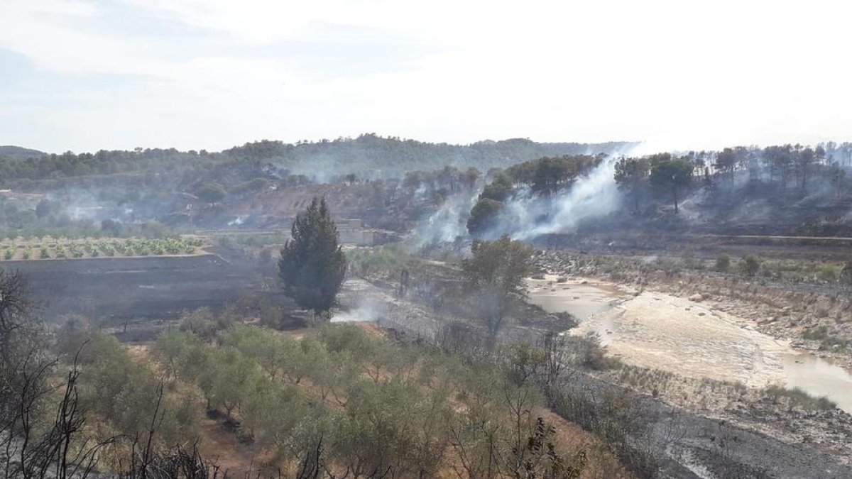 El foc ha cremat, provisisionalment, 14 hectàrees.