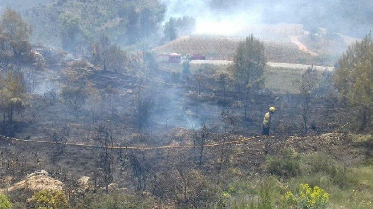 Els Bombers han donat per estabilitzat l'incendi cap a les 15 hores.