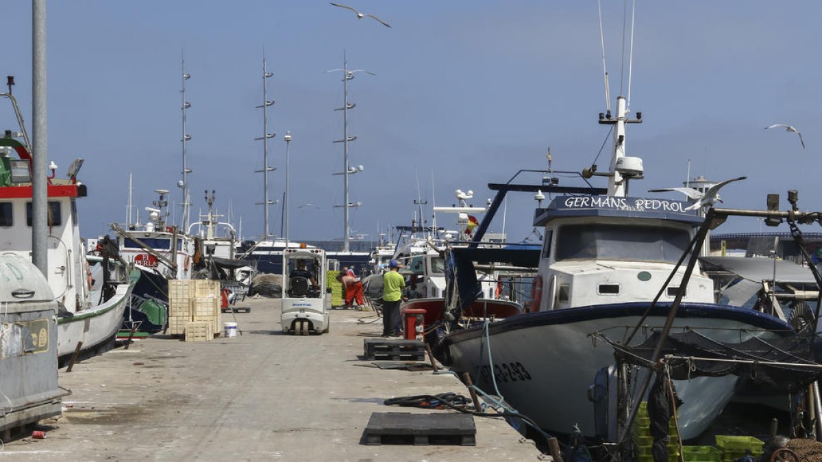 Una imagen del muelle de Tarragona, el pasado 1 de julio.