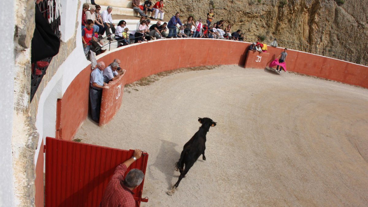 Capea celebrada a la ganadería Mur de Alfara de Carles con el torero Serafin Marín el año 2010.