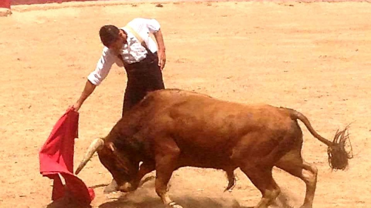 Pla general del torero tarragoní Rubén Marín durant un moment d'un espectacle taurí sense mort de l'animal celebrat a Castelló