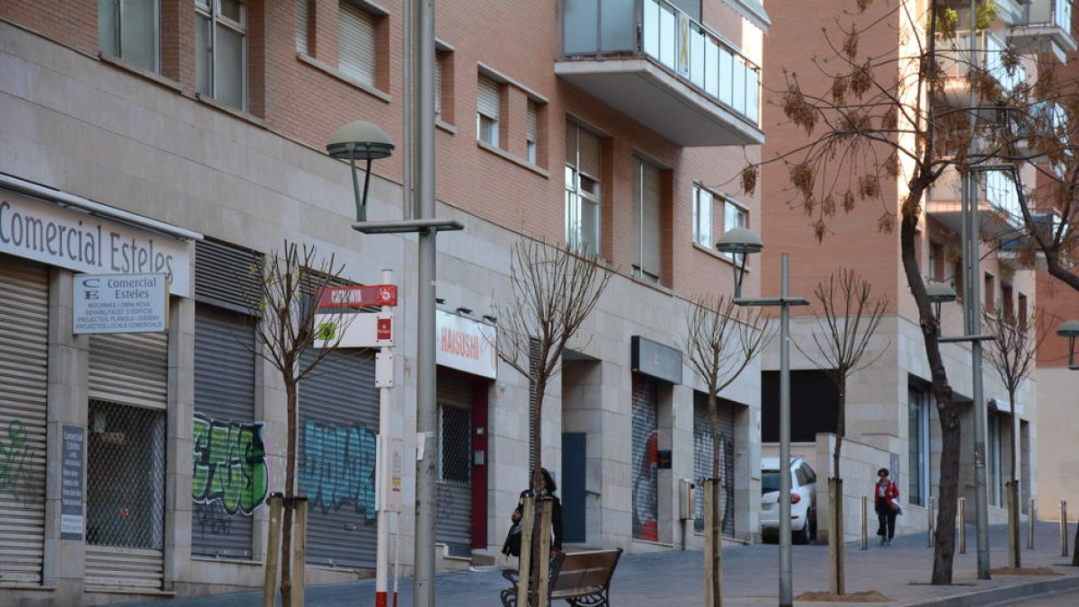 Imagen de los árboles de la calle Rovira i Virgili.