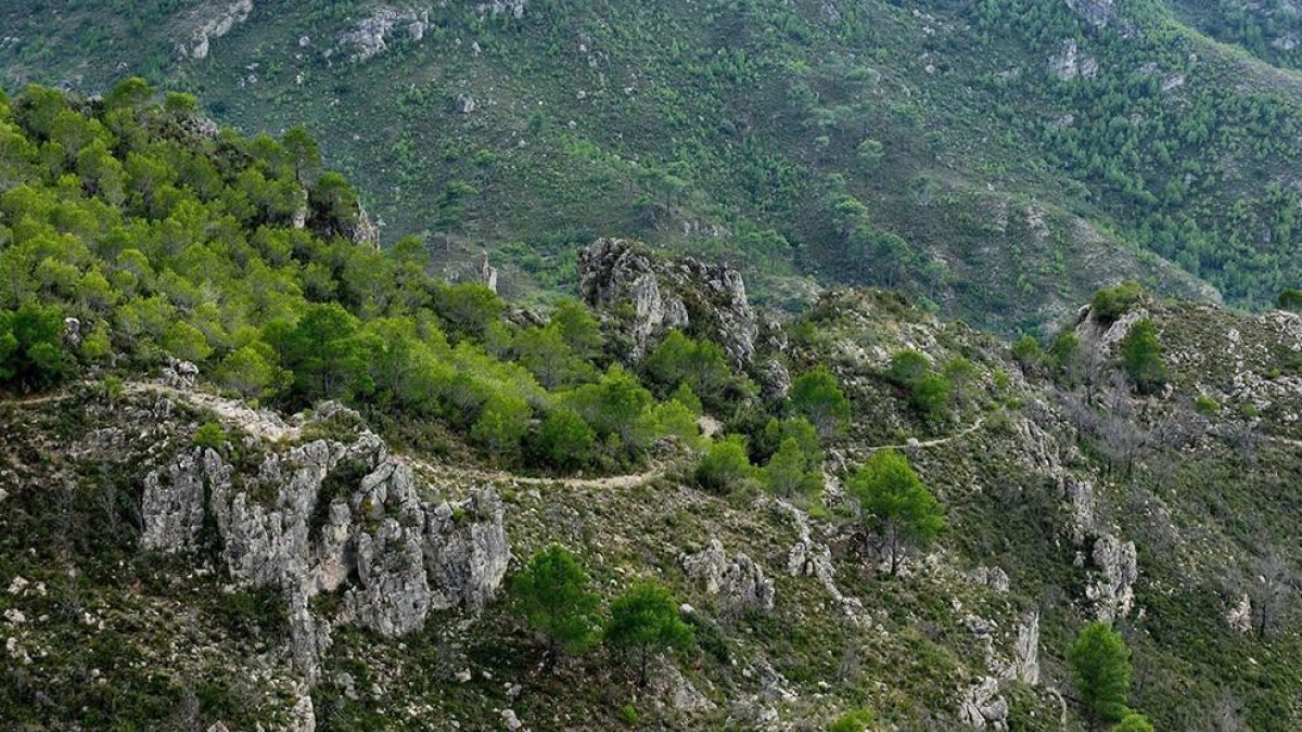 matge del camí vell de Tivenys al Perelló, per on es volia fer passar la pista |