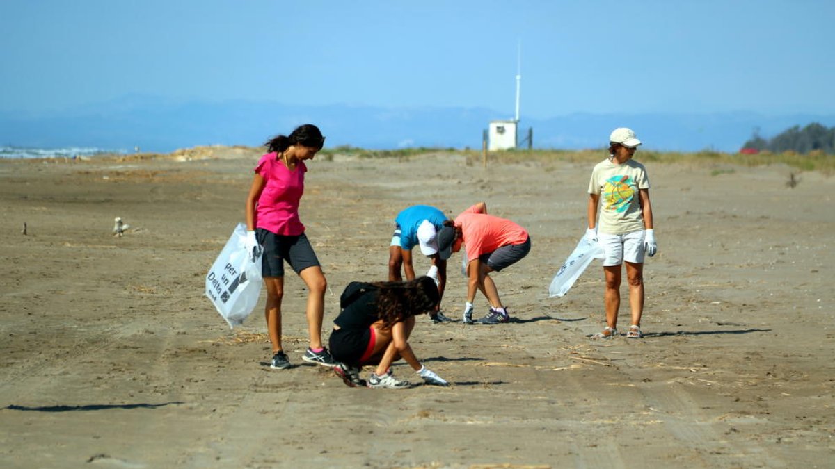Plano general de algunos de los voluntarios recogiendo basura en el espacio delimitado en la playa del Serrallo de Sant Jaume d'Enveja.