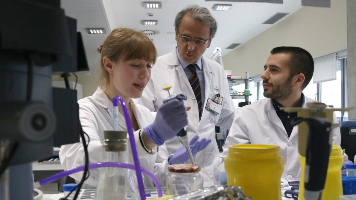 Imagen del jefe del grupo de investigación translacional en oncología hepática, Josep Maria Llovet con dos investigadores más del IDIBAPS.