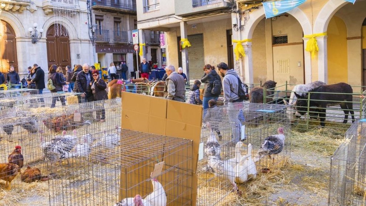 Plaça on es mostraven les gàbies amb les aus.