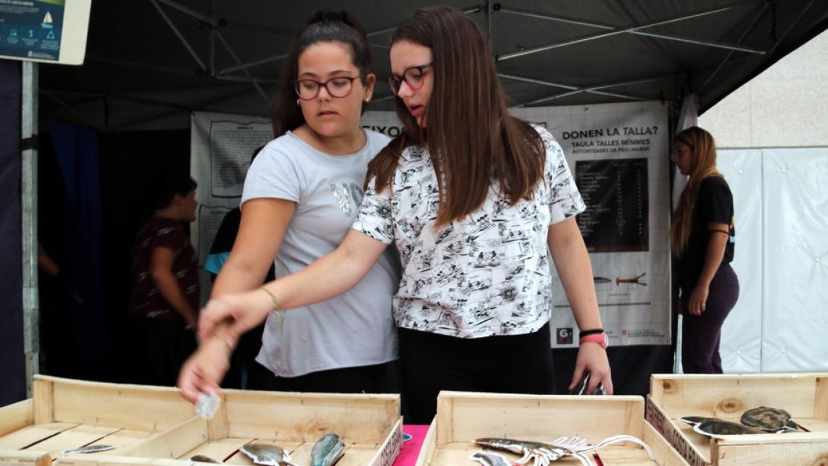 Dos alumnas trabajan las marcas comerciales y el tipo de pescado|pez que se puede vender a uno de los stands del proyecto educativo del GALP que se ha hecho en Deltebre. Imagen del 7 de octubre del 2019 (horizontal)
